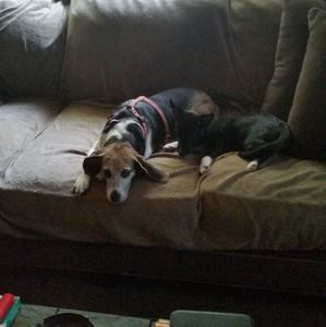 Meet your Posher, Deborah